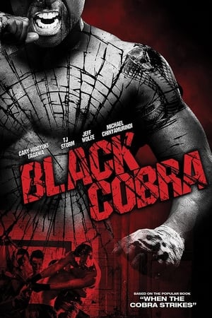 Black Cobra (2012) Hindi Dual Audio 300MB Black Cobra (2012) Hindi Dual Audio 300MB