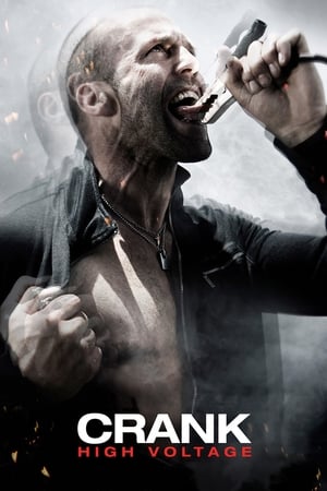 Crank: High Voltage (2009) Hindi Dual Audio 300MB Crank: High Voltage (2009) Hindi Dual Audio 300MB
