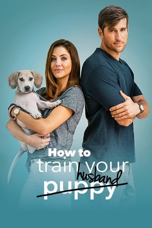 How to Train Your Husband 2018 Hindi Dual Audio 300MB How to Train Your Husband 2018 Hindi Dual Audio 300MB