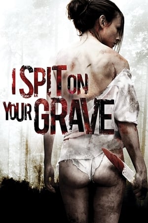 I Spit on Your Grave 2010 Hindi Dual Audio 330MB I Spit on Your Grave 2010 Hindi Dual Audio 330MB