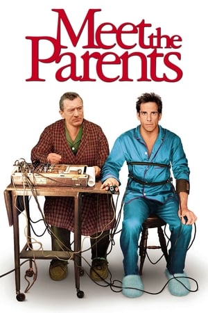 Meet the Parents 2000 Hindi Dual Audio 350MB Meet the Parents 2000 Hindi Dual Audio 350MB