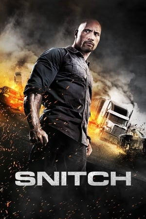 Snitch (2013) Hindi Dual Audio 350MB Snitch (2013) Hindi Dual Audio 350MB